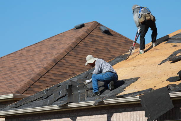 Best Sheet Metal Roofing  in Mccall, ID